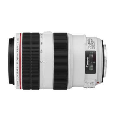 Image of Canon EF 4.0-5.6/70-300 L IS USM