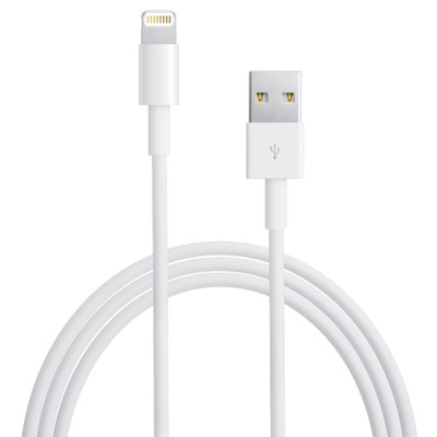 Image of Apple iPod/iPhone/iPad Aansluitkabel [1x USB 2.0 stekker A - 1x Apple dock-stekker Lightning] 1 m