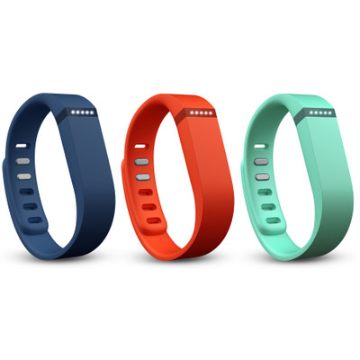 Image of Fitbit Flex Accessory Pack - Large