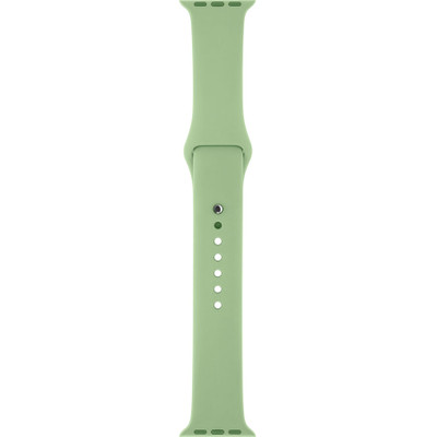 Image of Apple Band 42mm Mint Sport Band