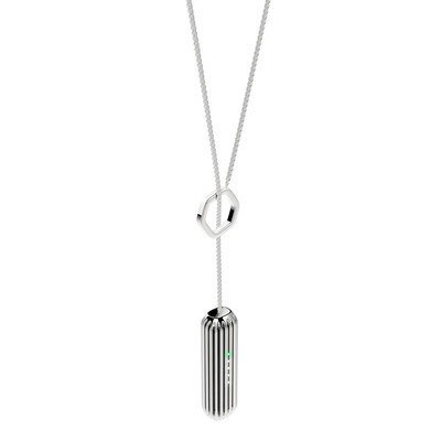 Image of Fitbit Flex 2 Ketting Silver